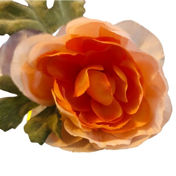 Disney Princess Tiana & the frog eau de Parfum BOX ONLY - Picture 14 of 16